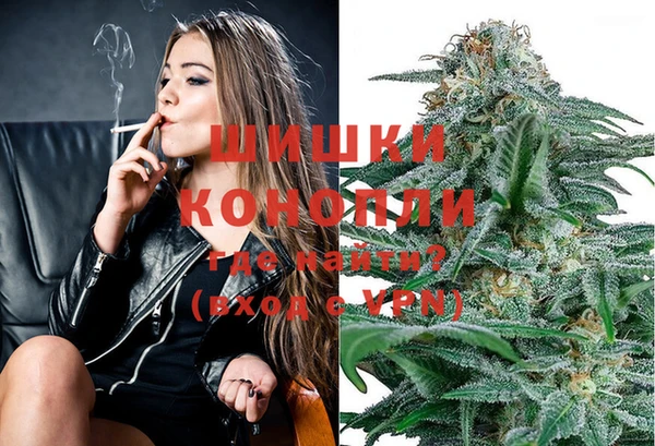 трава Осинники