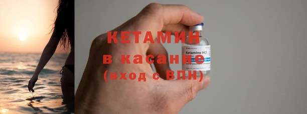 трава Осинники