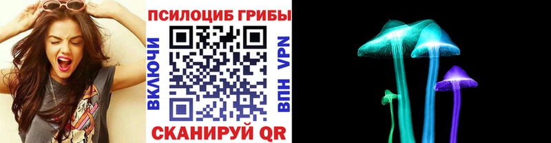 Галлюциногенные грибы Psilocybine cubensis  Серов 